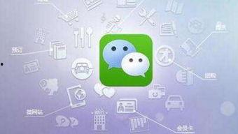 小程序八卦网红吃瓜,揭秘娱乐圈幕后故事