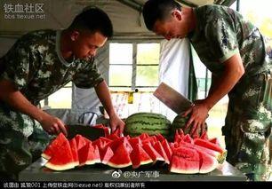 最新吃瓜群众网曝高清,最新吃瓜群众热议事件全解析