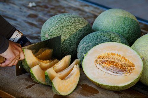 网红吃瓜白珍珠是真的吗,揭秘其真伪之谜