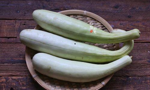 5.1吃瓜网官网最新网站,揭秘最新网站功能与亮点