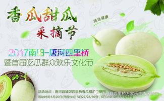 网红大咖与吃瓜群众,网络时代的互动与影响