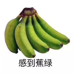 邹平网红吃瓜群微信,揭秘网络社交圈的趣味与争议