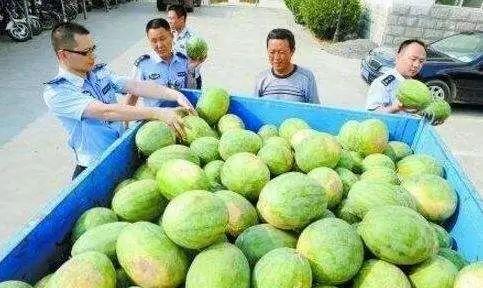 邹平网红吃瓜群微信,揭秘网络社交圈的趣味与争议