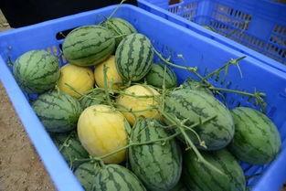 网红qq吃瓜群,娱乐圈幕后风云尽收眼底