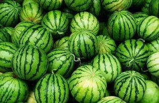 网红qq吃瓜群,娱乐圈幕后风云尽收眼底