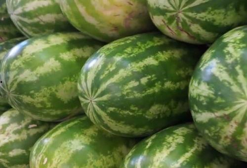 迪拜网红吃瓜事件,一场美食与争议的碰撞