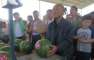 恩平网红吃瓜群众视频,揭秘当地热门事件背后的真相