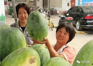 恩平网红吃瓜群众视频,揭秘当地热门事件背后的真相