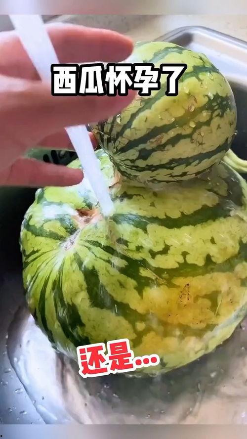 网课吃瓜搞笑视频大全,搞笑视频大盘点，一起重温那些欢乐时光