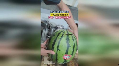 吃瓜网免费吃瓜黑料泄密在线观看,免费吃瓜黑料泄密，在线观看独家揭秘