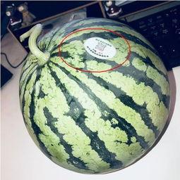 网红吃瓜盘点,揭秘娱乐圈幕后真相