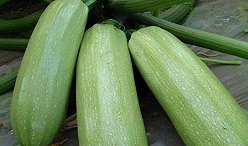 吃瓜事件网红九月份,盘点热点瞬间与幕后真相