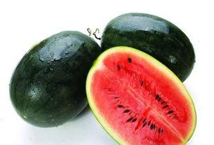 网红的吃瓜群号怎么找的,揭秘网红吃瓜群号搜寻秘籍