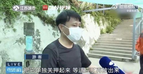 网红吃瓜李明德