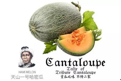网红吃瓜营销号是什么意思