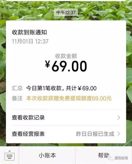 吃瓜网的注册码是什么呀,轻松解锁海量瓜子的秘密钥匙